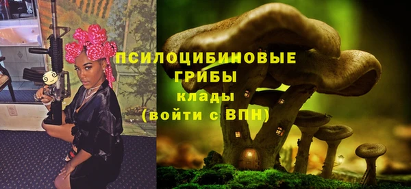 стаф Алексеевка