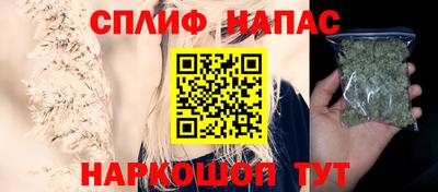 амф Камень-на-Оби